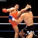 PETER AERTS    -   ۻ