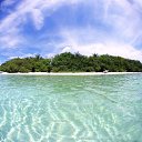 ���� ����( ������), ���������, 65 ��� - ��������� 21 ������ 2010 � ������ ����� � ������ ( ����)�