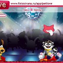  ,  , 23  -  11  2010   PetLove