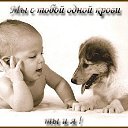 ���� �������, ������, 51 ��� - ��������� 27 �������� 2012