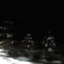 15.01.13. �������� ���������� ����� ��� ! �� ������� ���� ����������