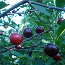  , -, 40  -  16  2011     