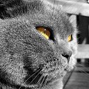  Aleksandr,  -  24  2011   