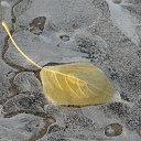 ���� �����.....����., �������, 43 ���� - ��������� 28 ������ 2011 � ������ ���� ����������