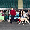 ���� ����, �����-���������, 70 ��� - ��������� 11 ������� 2012