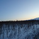 ���� ���������, �������, 59 ��� - ��������� 3 ��� 2013 � ������ ���������