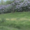 ���� ������, ������� - ��������� 23 ��� 2010 � ������ ����