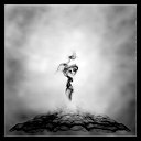  ,  -  13  2010   ____