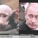 ���� ��������� (�����), ���������, 48 ��� - ��������� 24 ������� 2012 � ������ �������