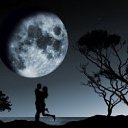 ���� ����, ����������� - ��������� 9 ������� 2012 � ������ ���� ����������