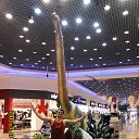 �������� �� ������� ���� ����������