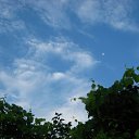  !,  -  26  2010     -    
