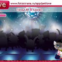 ���� ������, ������, 25 ��� - ��������� 15 ������� 2010 � ������ �PetLove�