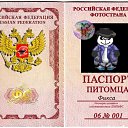 ���� ���������, ���������� - ��������� 25 ��� 2010 � ������ ���� ��������ۻ