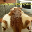 ���� ����, ����, 25 ��� - ��������� 24 ������� 2011 � ������ �Avataria�