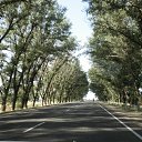 ���� ����, ������-��-����, 85 ��� - ��������� 25 ������� 2011 � ������ ���� ����������