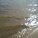 ���� �������, ����, 42 ���� - ��������� 24 ������� 2010 � ������ �������