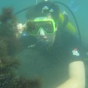  ,  , 37  -  24  2012