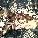  , --, 30  -  8  2012    