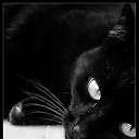  Sergey, , 49  -  25  2013    