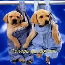 ���� �������, ������, 68 ��� - ��������� 22 ������� 2012 � ������ ���������