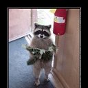 ���� �������, ������, 39 ��� - ��������� 23 ������� 2010 � ������ ��������������