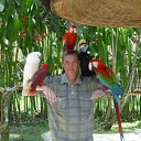 ���� All1, ������, 60 ��� - ��������� 5 ������� 2010 � ������ �THE BALI ISLAND�