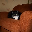 ���� �����, ���������, 38 ��� - ��������� 2 ��� 2012 � ������ ���� ����������