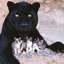 ���� ������, ������, 47 ��� - ��������� 7 ������ 2012 � ������ ���� ����������