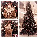 ���� �������, ����, 68 ��� - ��������� 28 ������ 2013 � ������ ���� ����������