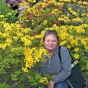 ���� Ginta, ����, 61 ��� - ��������� 3 ���� 2012 � ������ ���� ����������