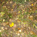 ���� �������, ��������, 54 ���� - ��������� 7 ������ 2011 � ������ �������� � ������))))))�