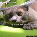 ���� �������, ������, 41 ��� - ��������� 11 ������� 2009 � ������ ��������� � ���������