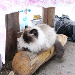 ���� ������, ����, 57 ��� - ��������� 21 ������ 2012