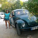  , , 44  -  8  2012    2012