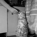 ���� �������, ������, 50 ��� - ��������� 7 ������� 2011 � ������ ���� ����������