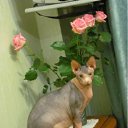 ���� �����, ������ - ��������� 28 ������� 2011 � ������ ���������� ������