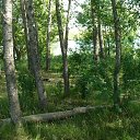  , , 69  -  29  2013    ...