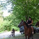 ���� �����, �����������, 44 ���� - ��������� 24 ���� 2012 � ������ ���� ����������