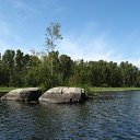  , -, 54  -  15  2010   