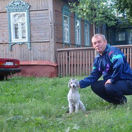 ����, ��������, 71 ���