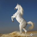 ���� Serzh, ���������, 38 ��� - ��������� 5 ������� 2009 � ������ ���������