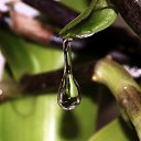 ���� �����, ������, 26 ��� - ��������� 11 �������� 2010 � ������ �����