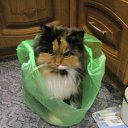 ���� �����, ���������, 40 ��� - ��������� 22 ���� 2012 � ������ ���� ����������