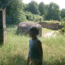 ���� �����, ������, 26 ��� - ��������� 25 ���� 2010 � ������ �� � ������������ � 2010 ����