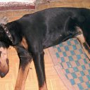 ���� Anita, ������ - ��������� 23 ������� 2009 � ������ �������