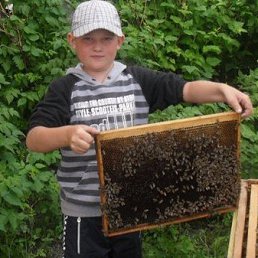 Fylhju, ���������, 29 ���