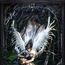 ���� �������, �����-���������, 61 ��� - ��������� 22 ������� 2010 � ������ ���� �����