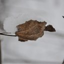 ���� ������, ��������� - ��������� 31 ������ 2010 � ������ �������� �������