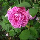 ���� �������, �������-����������, 54 ���� - ��������� 22 ������� 2011 � ������ ���� ����������